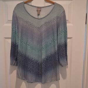 Chico's Aqua to Navy Ombre Animal-Print Scoop Neck Tunic